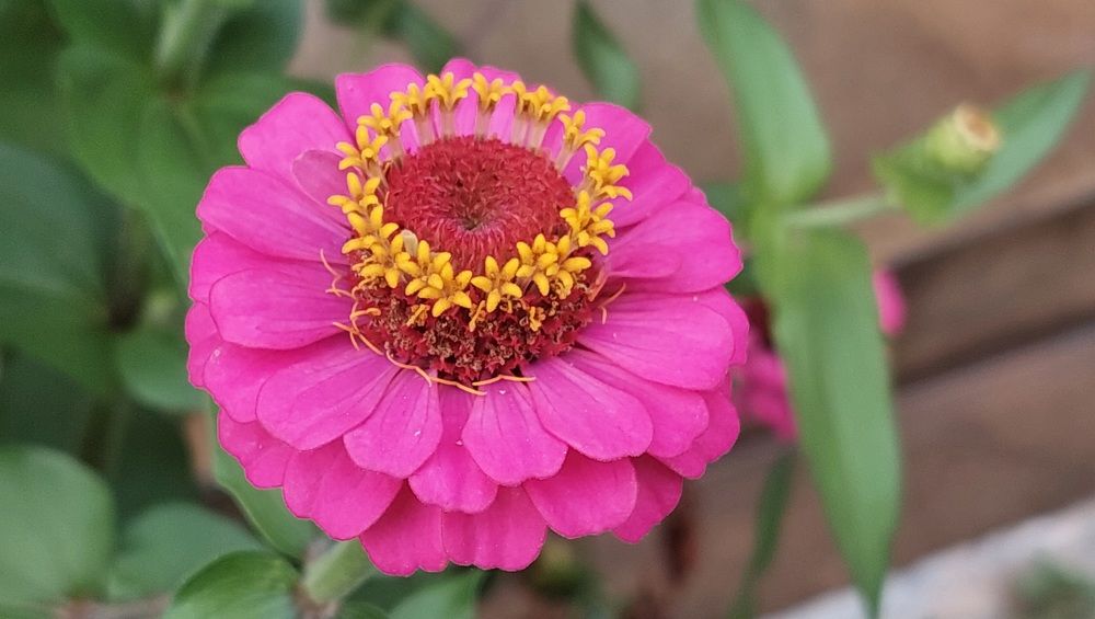 Closeup work with mobile