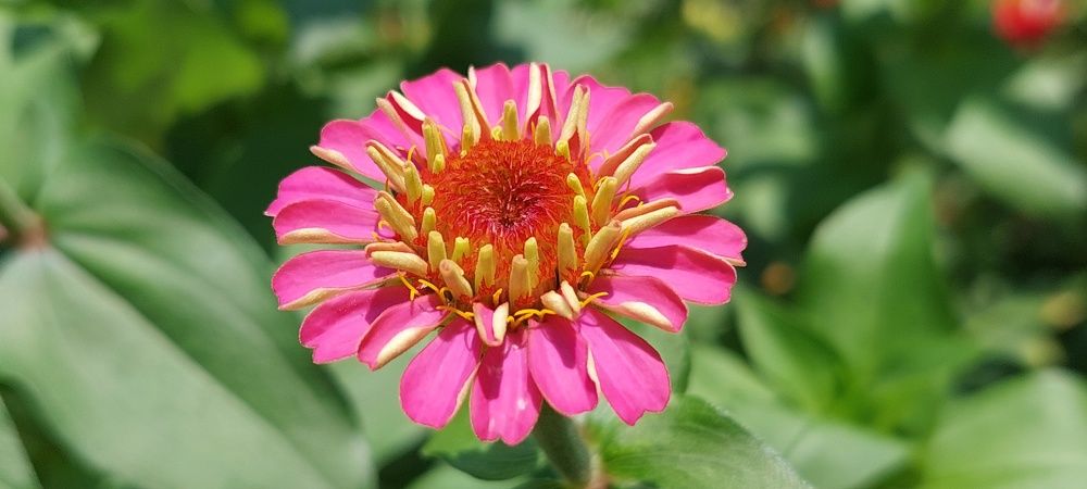 Photograph by Younas Muhammad