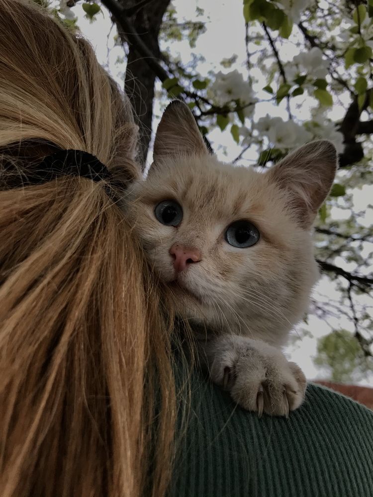 Photograph by Лидия Алесханова