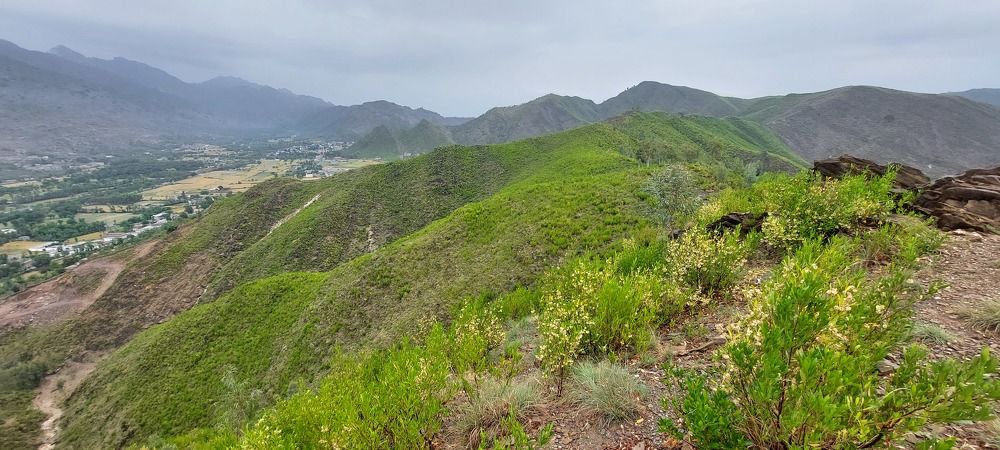 Landscape photography with mobile