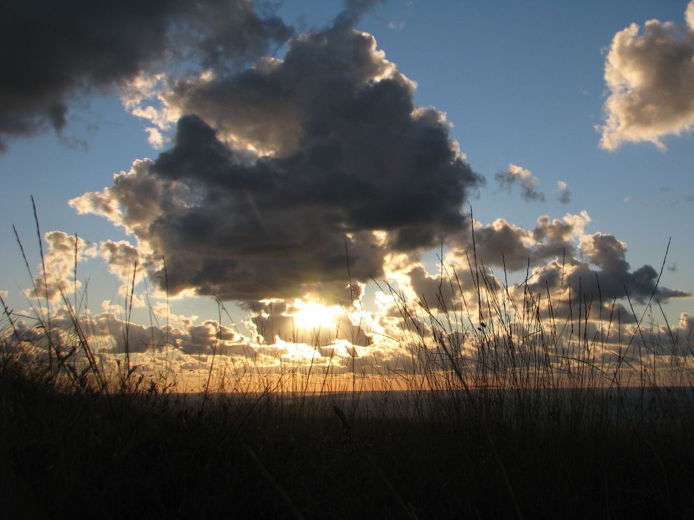 Photograph by Иван Скрипкин