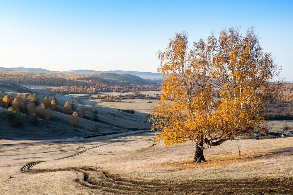 Photograph by Алёна Ивочкина
