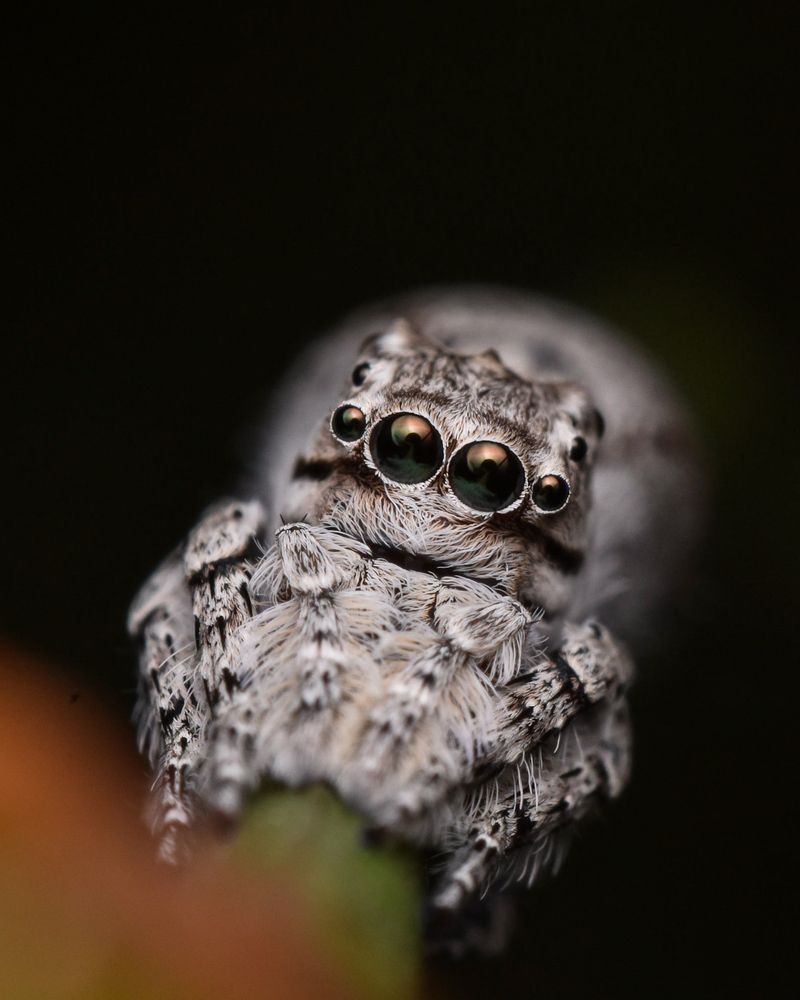 Photograph by Parvathy