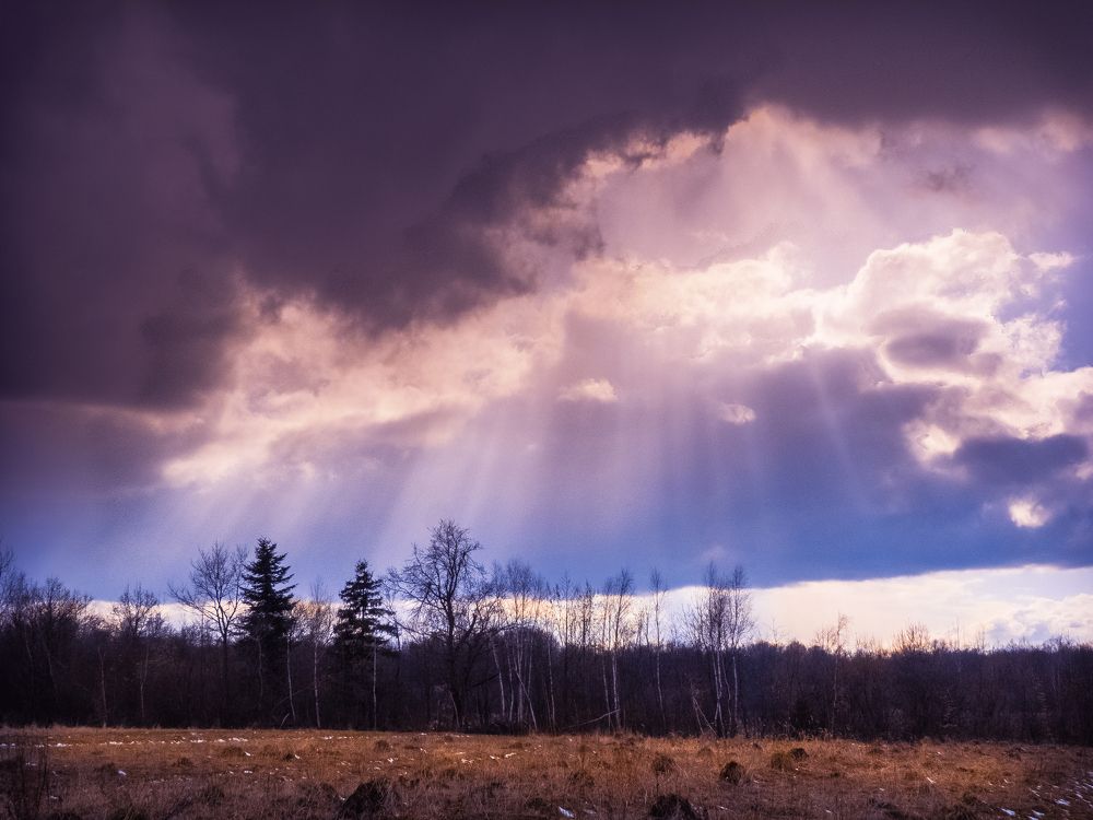 Photograph by Лозинский Ярослав