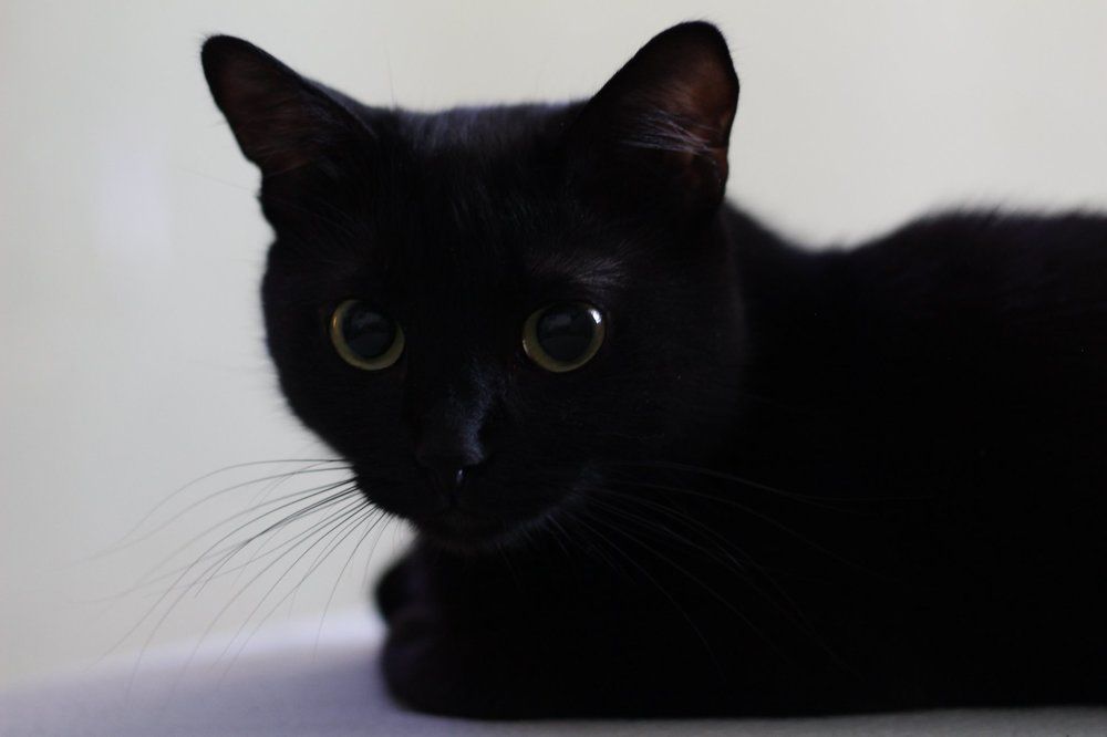 Photograph by Людмила Колесниченко