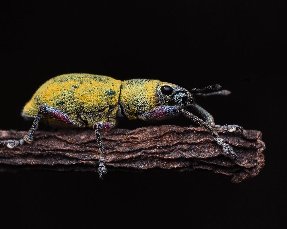 Photograph by Parvathy