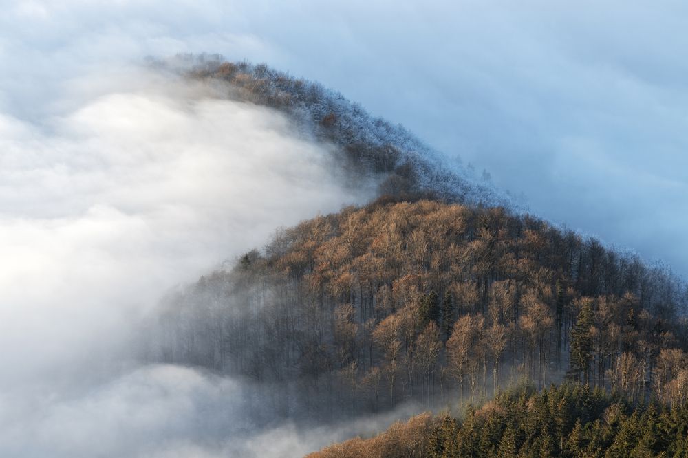 Photograph by Dennis Vagner