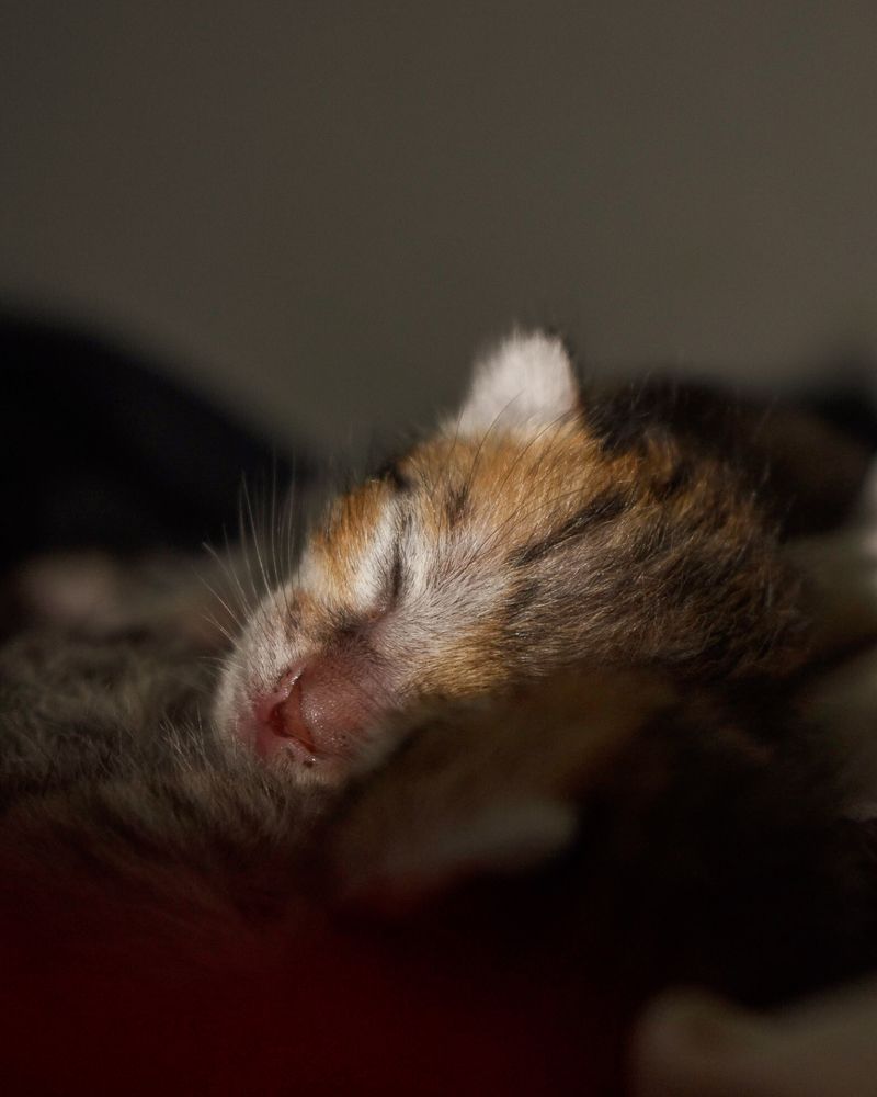 Photograph by Parvathy