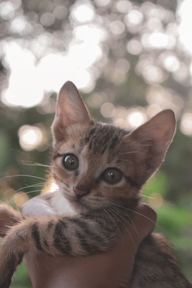 Photograph by Parvathy