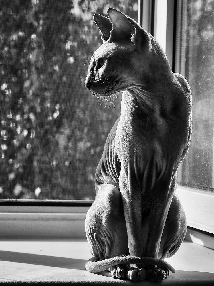 Фотография автора Гоголев Игорь