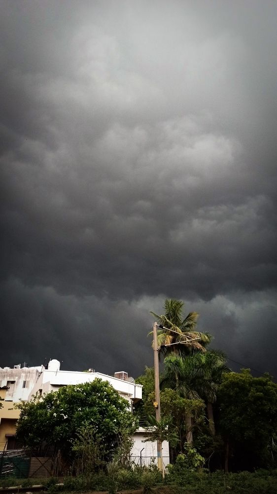 Stepping into the Storm.