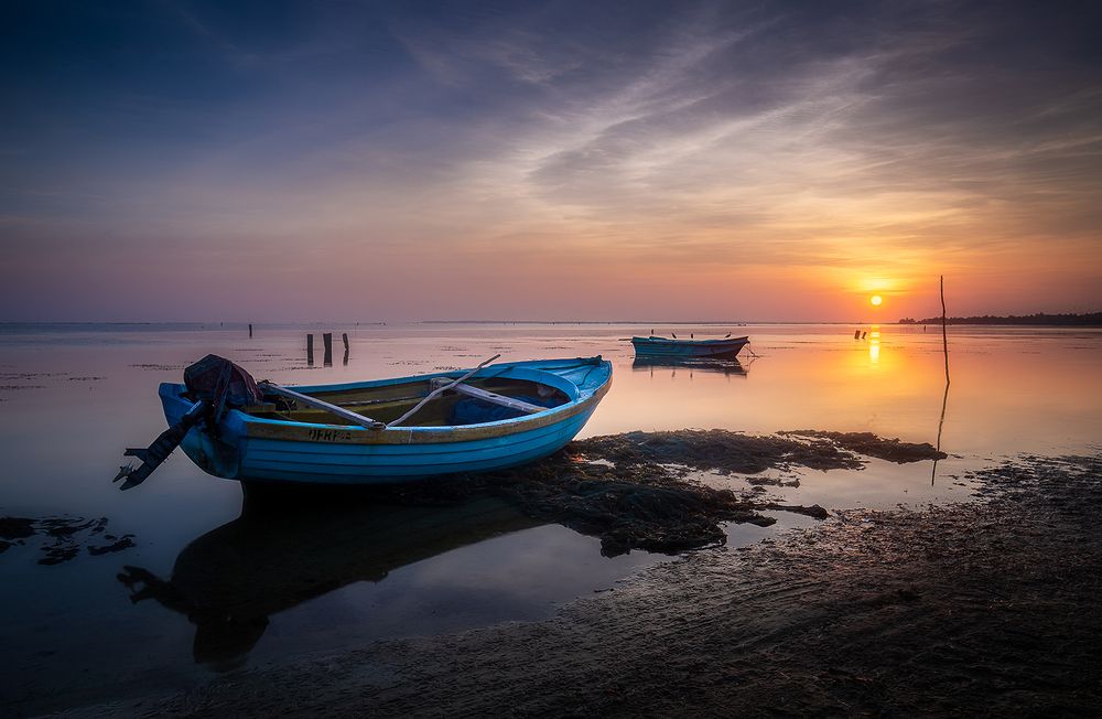 Photograph by Priyantha Bandara