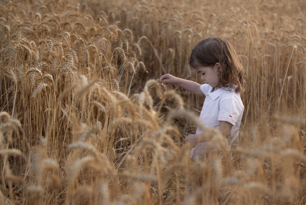 Photograph by Idit Profeta Ron