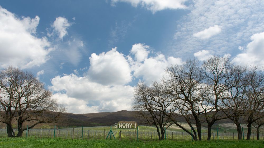 Photograph by Наталья Кокорина