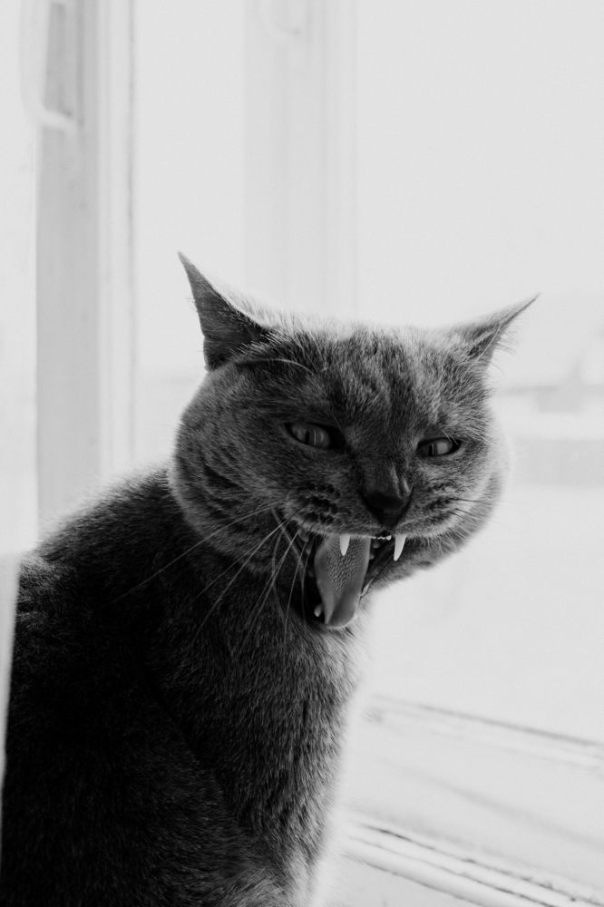 Photograph by Иван Кузнецов