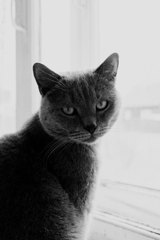 Photograph by Иван Кузнецов