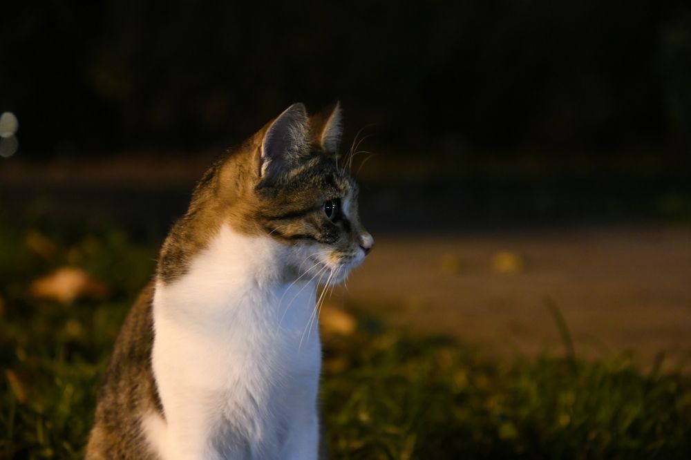 Photograph by Photobonum ZT