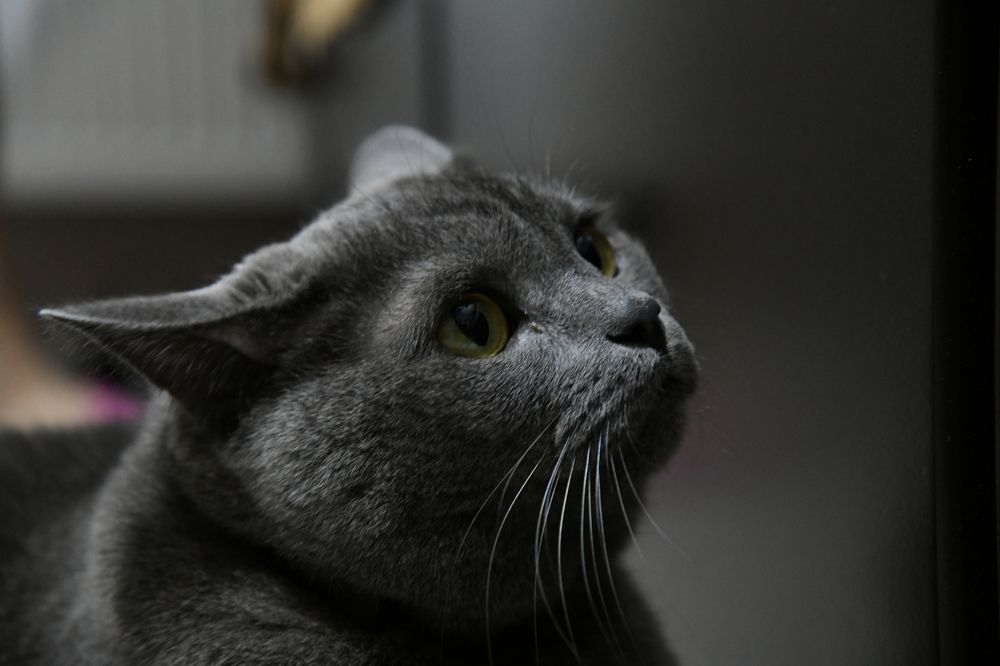 Photograph by Photobonum ZT