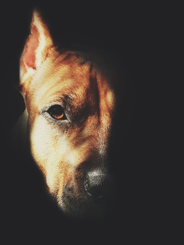 Photograph by Артём Миронов