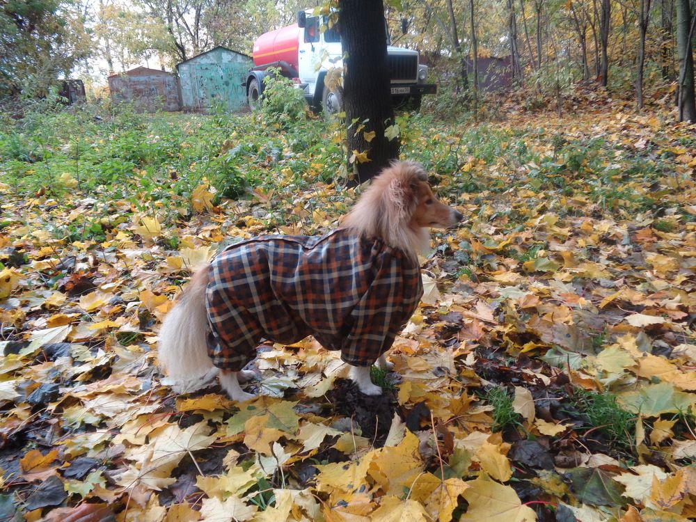 Photograph by Елена Любимцева