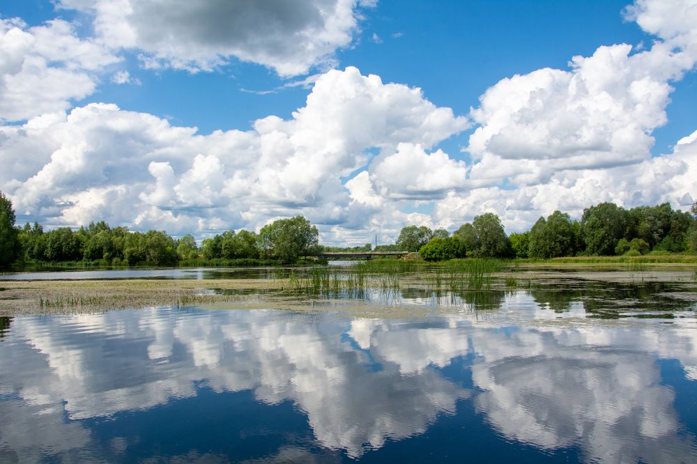 Photograph by Татьяна Акимова