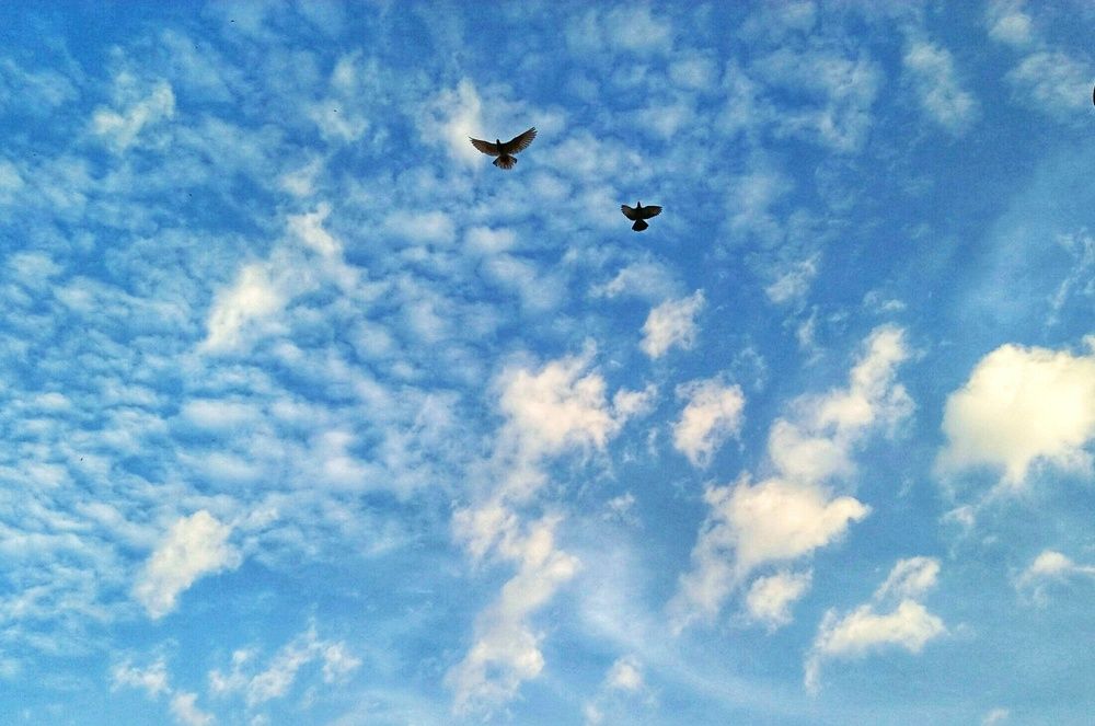 Photograph by Islam Jamirul