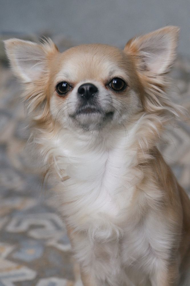 Photograph by Светлана Збраилова