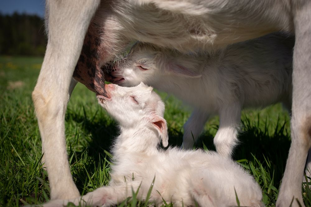 Photograph by Татьяна Ясинская