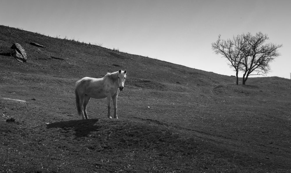 Photograph by Валерия Маркова