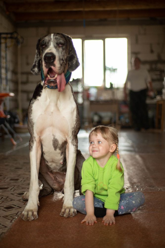 Photograph by Елена Макарова