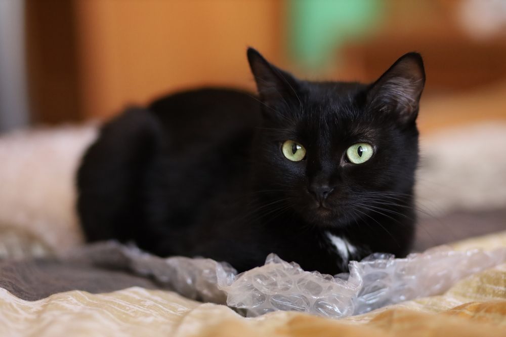 Photograph by Людмила Колесниченко