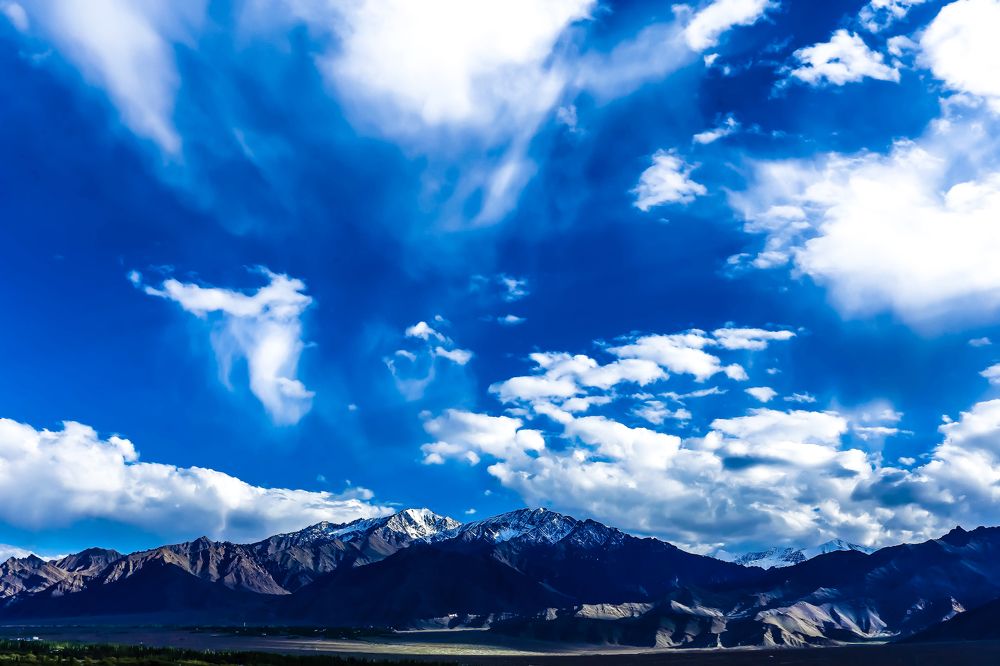 Фотография автора Vijay Richhiya