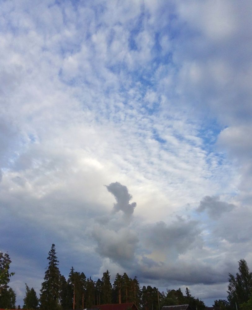 Photograph by Наталья Ерёменко