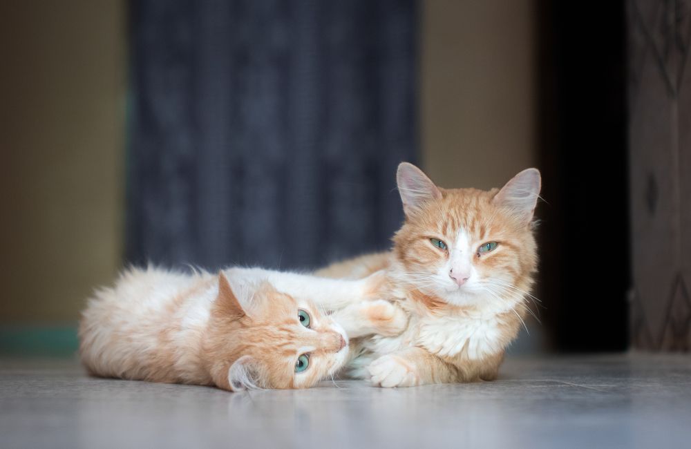 Photograph by Aissa Haffar