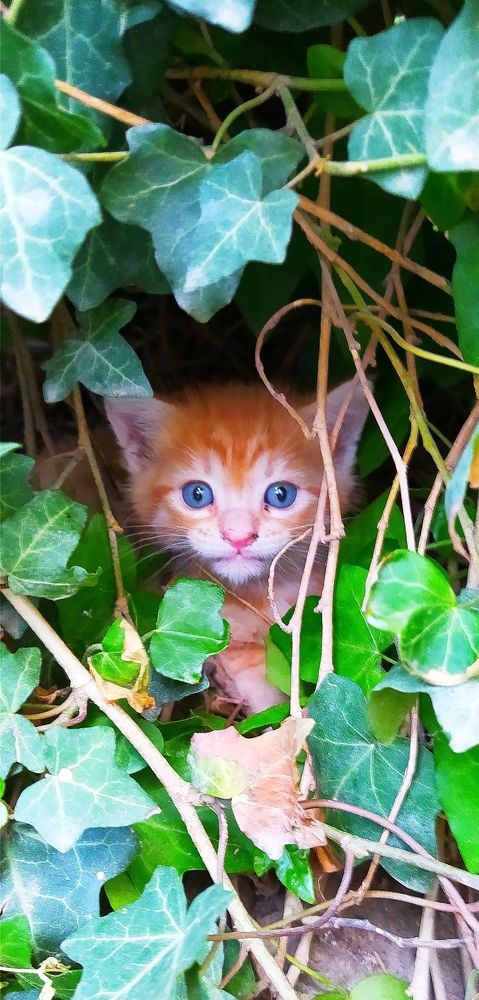 Photograph by Tazo Gagloshvili