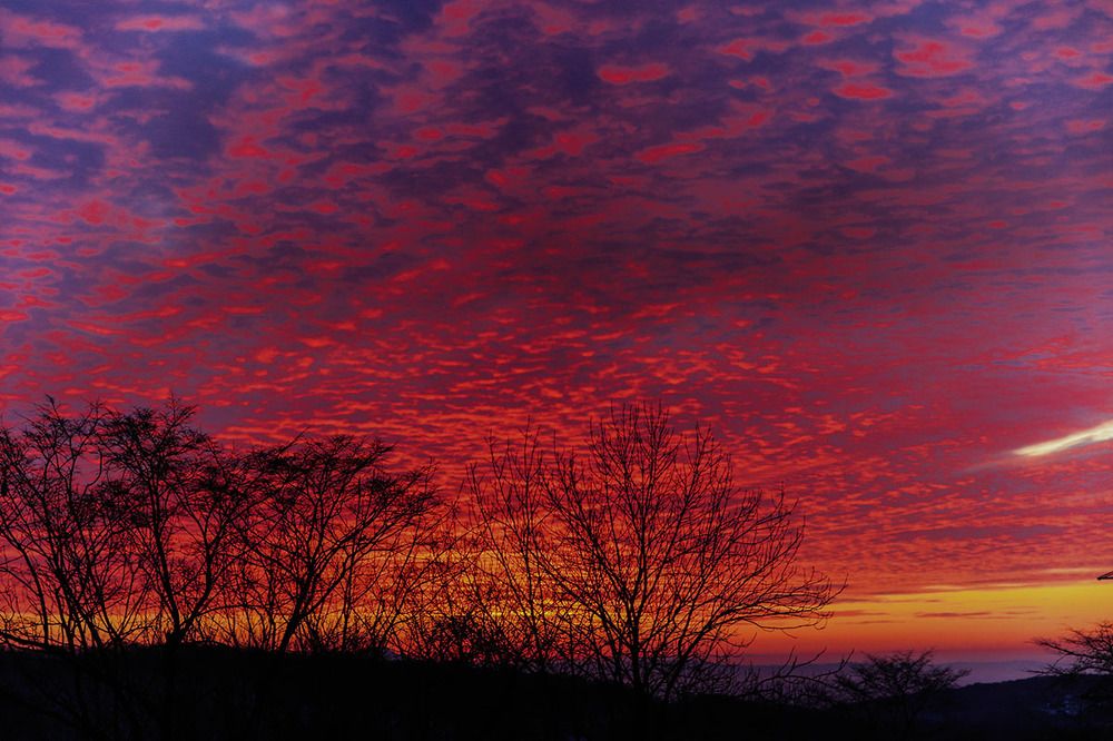 Фотография автора Елена Янченко