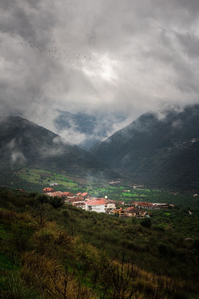 Photograph by Aissa Haffar