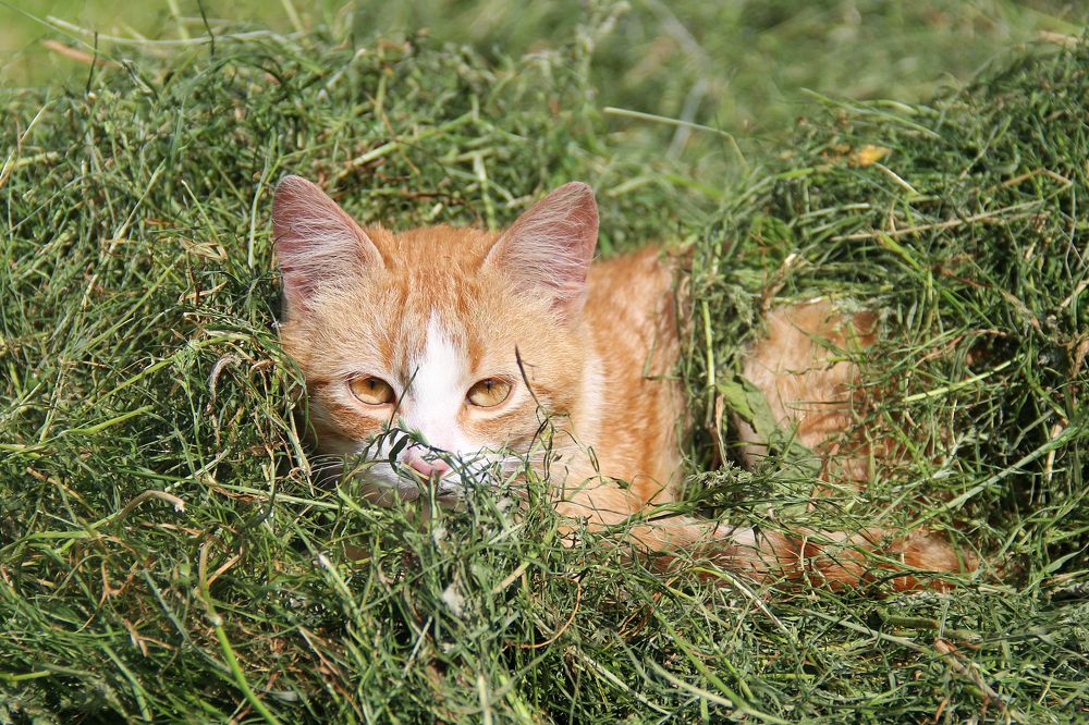 Photograph by Мария Соколовская