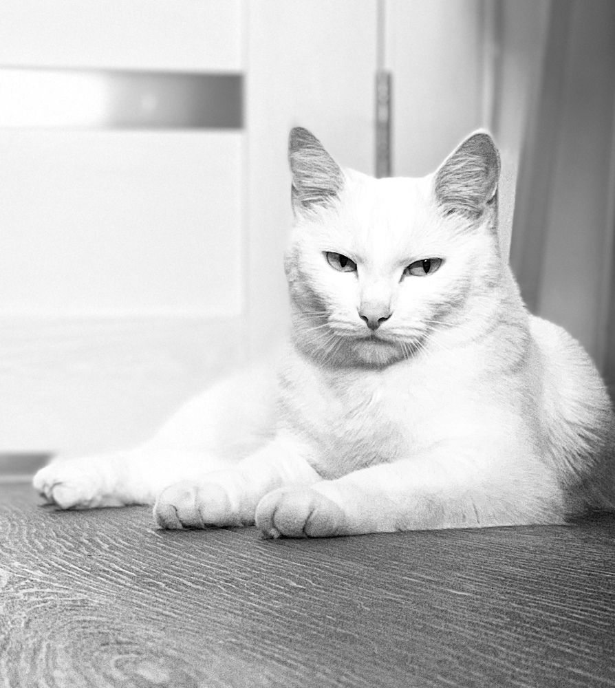 Photograph by Tatyana Grishko