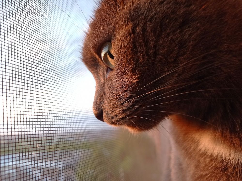 Photograph by Наталья Стальмакова