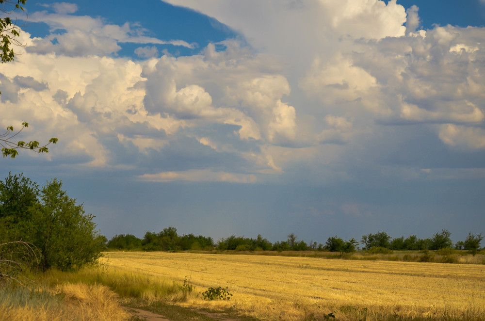 Photograph by Ирина Бандалет