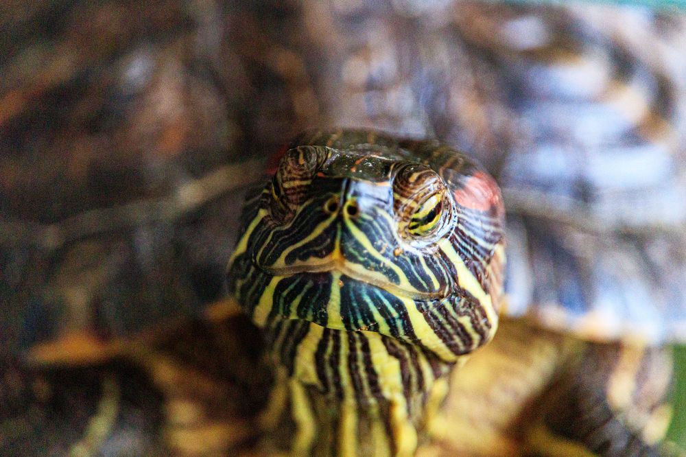 Photograph by Андрей Хаецкий