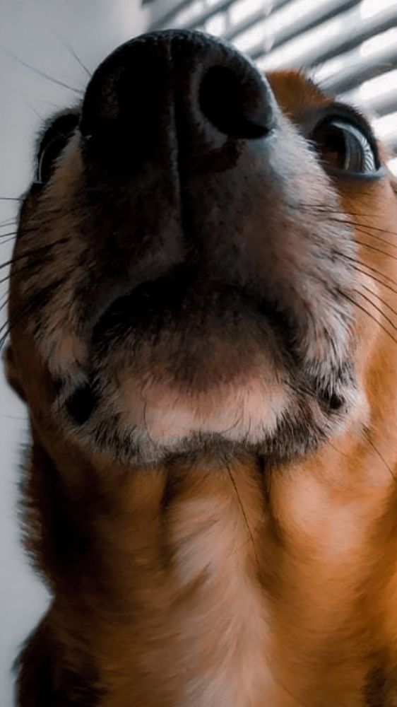 Photograph by Ирина Прокопенко