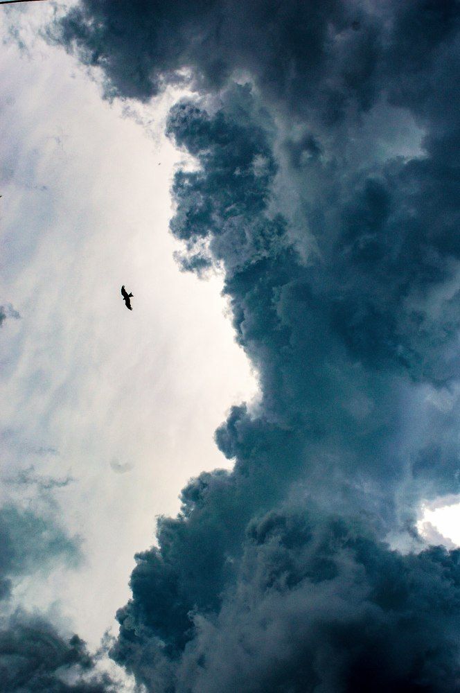 An incoming storm and a flying pariah.