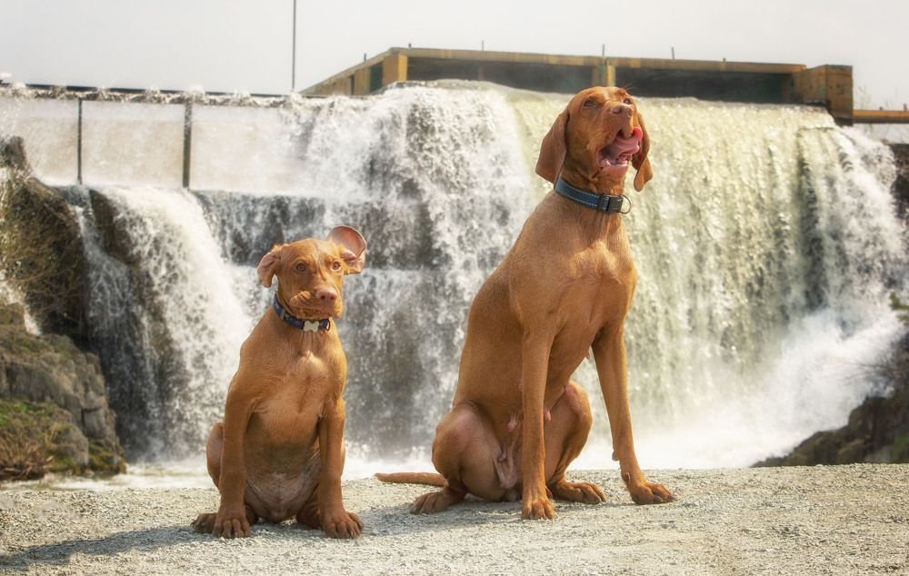 Photograph by Юлия Лушникова