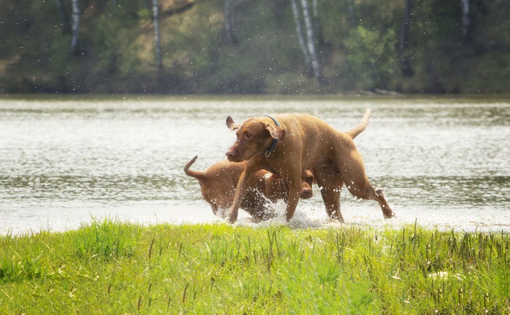 Photograph by Юлия Лушникова