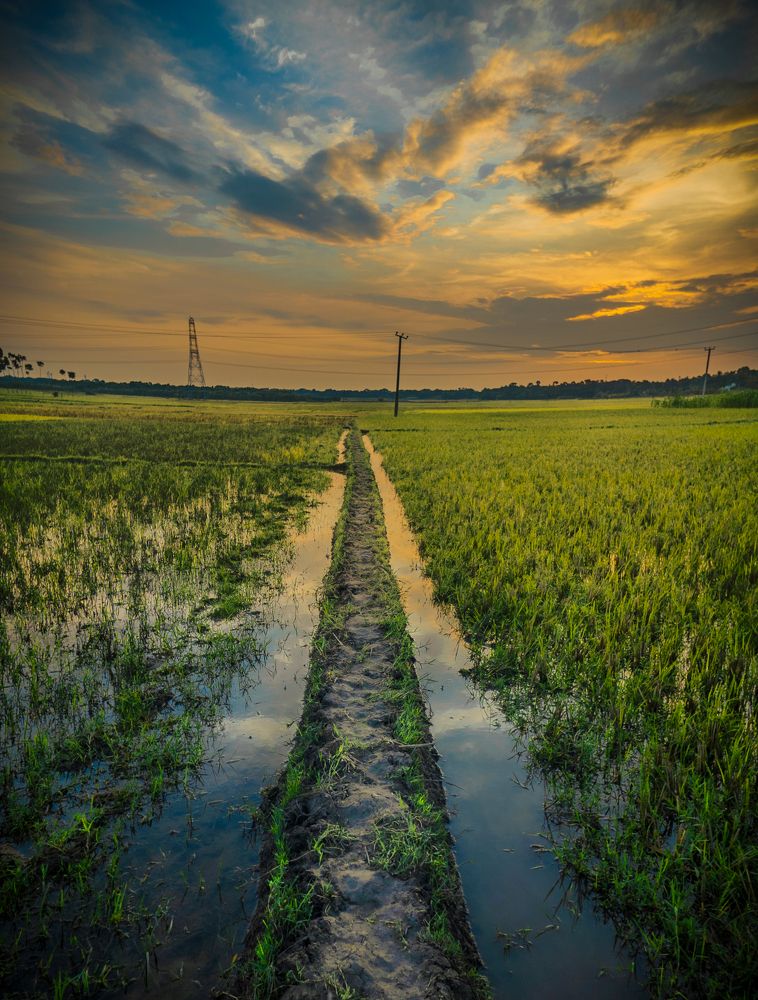 Photograph by Pritam Mohanta