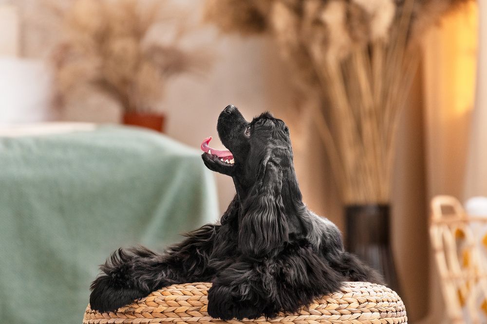 Photograph by Katerina Kutova