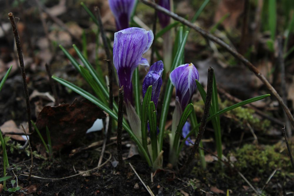 Photograph by Жанна Cысоева