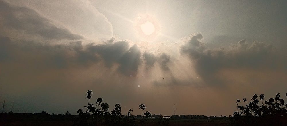 Photo #6100493